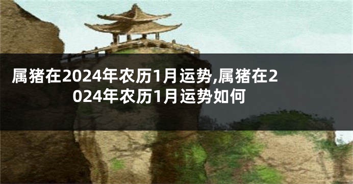 属猪在2024年农历1月运势,属猪在2024年农历1月运势如何