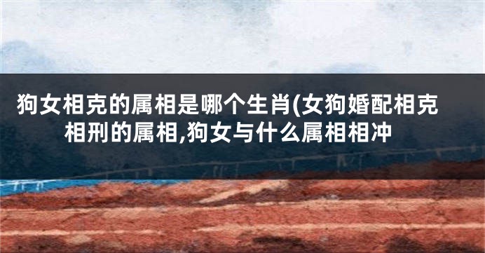 狗女相克的属相是哪个生肖(女狗婚配相克相刑的属相,狗女与什么属相相冲