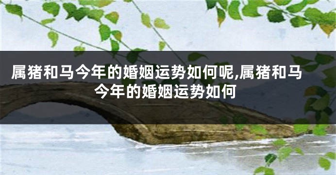 属猪和马今年的婚姻运势如何呢,属猪和马今年的婚姻运势如何