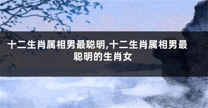十二生肖属相男最聪明,十二生肖属相男最聪明的生肖女