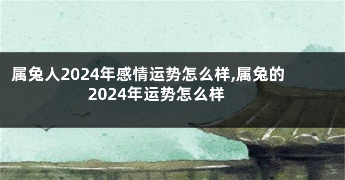 属兔人2024年感情运势怎么样,属兔的2024年运势怎么样