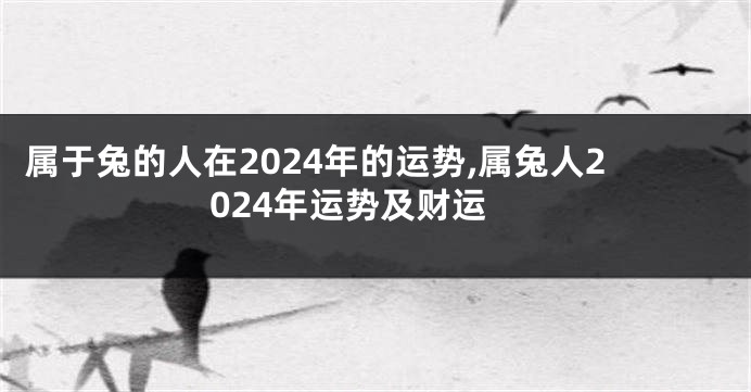 属于兔的人在2024年的运势,属兔人2024年运势及财运