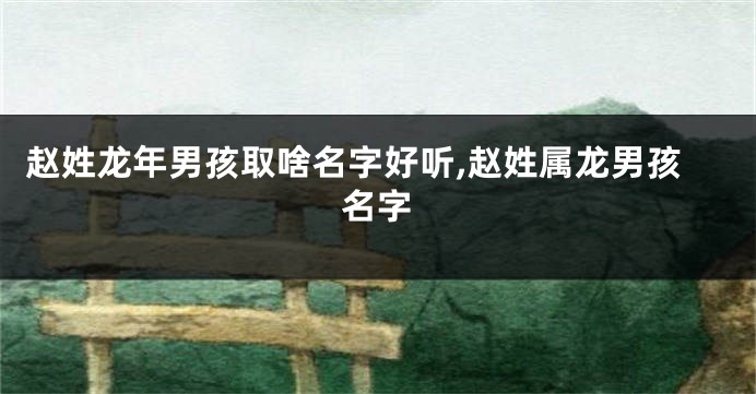 赵姓龙年男孩取啥名字好听,赵姓属龙男孩名字