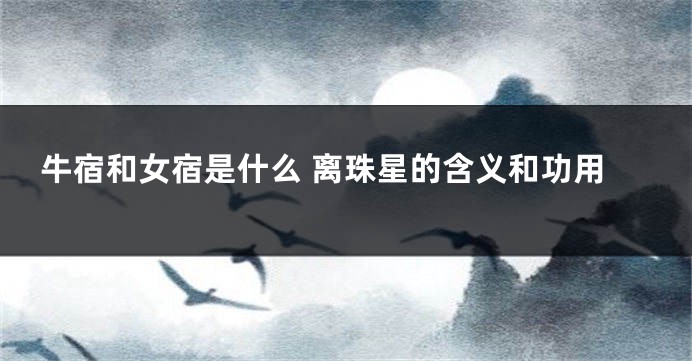牛宿和女宿是什么 离珠星的含义和功用