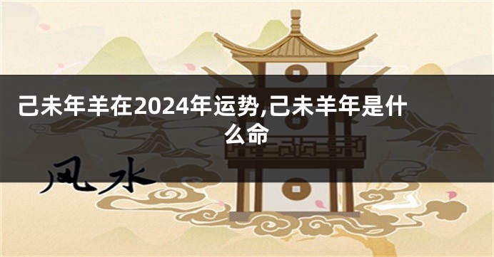 己未年羊在2024年运势,己未羊年是什么命
