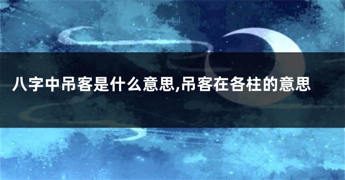 八字中吊客是什么意思,吊客在各柱的意思