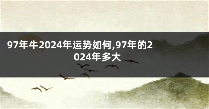 97年牛2024年运势如何,97年的2024年多大