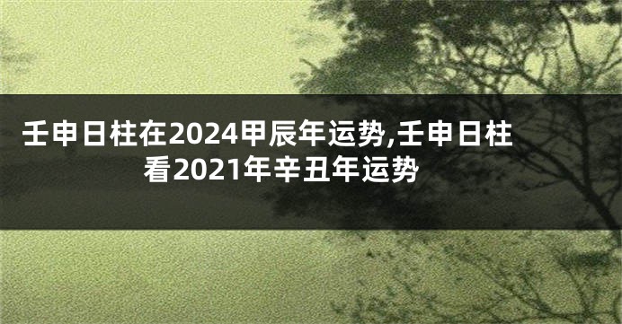 壬申日柱在2024甲辰年运势,壬申日柱看2021年辛丑年运势
