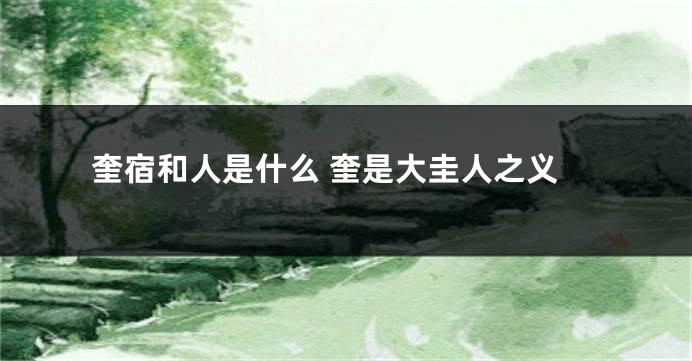 奎宿和人是什么 奎是大圭人之义