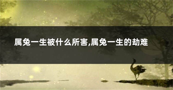 属兔一生被什么所害,属兔一生的劫难