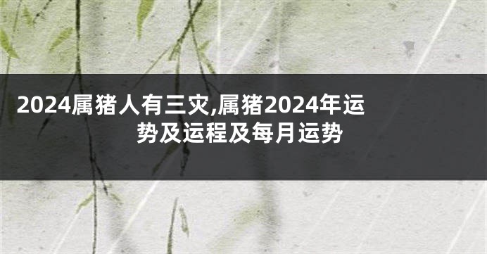 2024属猪人有三灾,属猪2024年运势及运程及每月运势