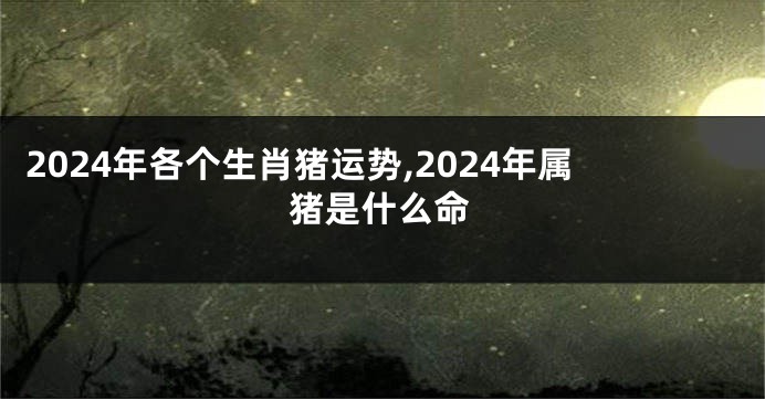 2024年各个生肖猪运势,2024年属猪是什么命