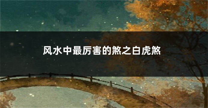 风水中最厉害的煞之白虎煞