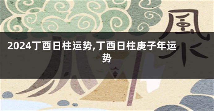 2024丁酉日柱运势,丁酉日柱庚子年运势