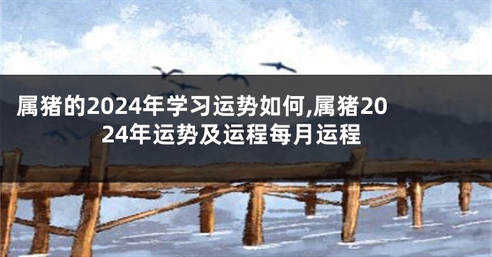 属猪的2024年学习运势如何,属猪2024年运势及运程每月运程