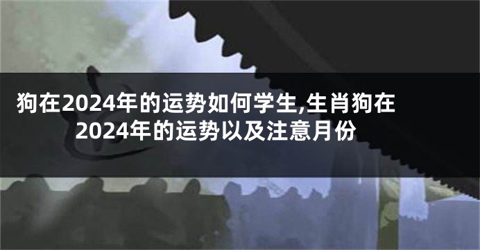 狗在2024年的运势如何学生,生肖狗在2024年的运势以及注意月份