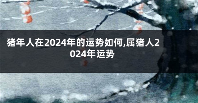 猪年人在2024年的运势如何,属猪人2024年运势