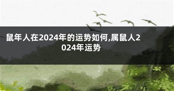 鼠年人在2024年的运势如何,属鼠人2024年运势