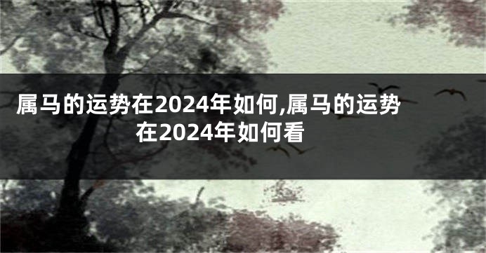 属马的运势在2024年如何,属马的运势在2024年如何看