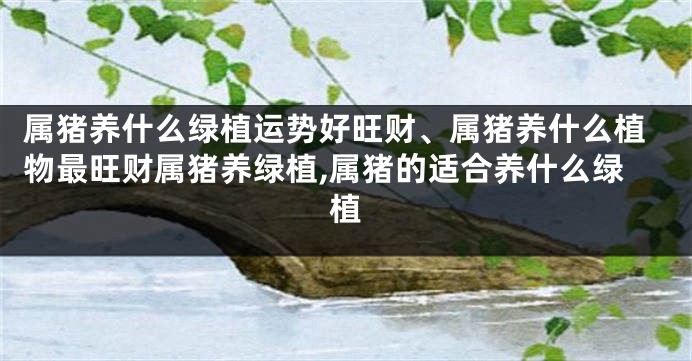 属猪养什么绿植运势好旺财、属猪养什么植物最旺财属猪养绿植,属猪的适合养什么绿植