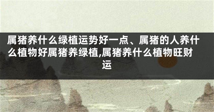 属猪养什么绿植运势好一点、属猪的人养什么植物好属猪养绿植,属猪养什么植物旺财运