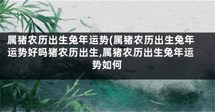 属猪农历出生兔年运势(属猪农历出生兔年运势好吗猪农历出生,属猪农历出生兔年运势如何