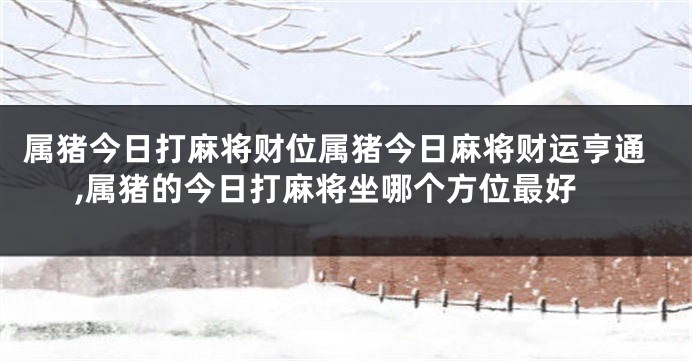 属猪今日打麻将财位属猪今日麻将财运亨通,属猪的今日打麻将坐哪个方位最好