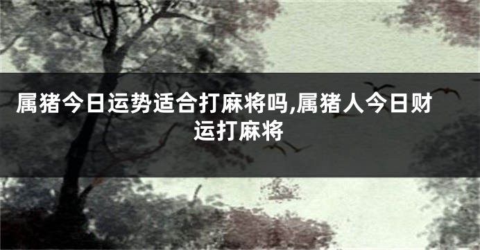 属猪今日运势适合打麻将吗,属猪人今日财运打麻将