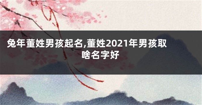 兔年董姓男孩起名,董姓2021年男孩取啥名字好