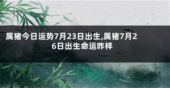 属猪今日运势7月23日出生,属猪7月26日出生命运咋样