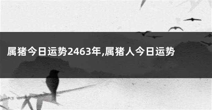 属猪今日运势2463年,属猪人今日运势