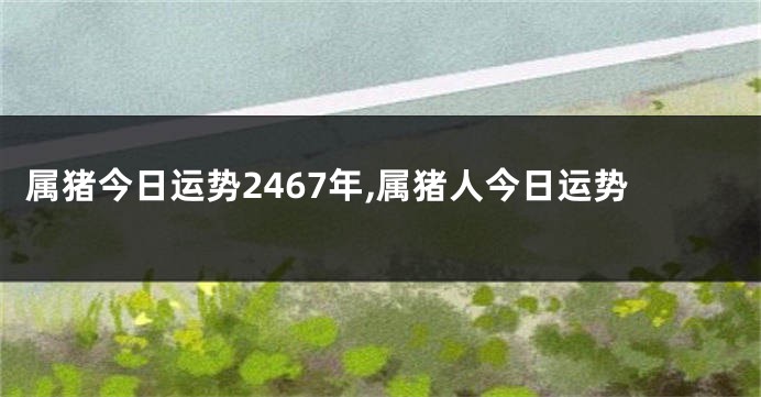 属猪今日运势2467年,属猪人今日运势