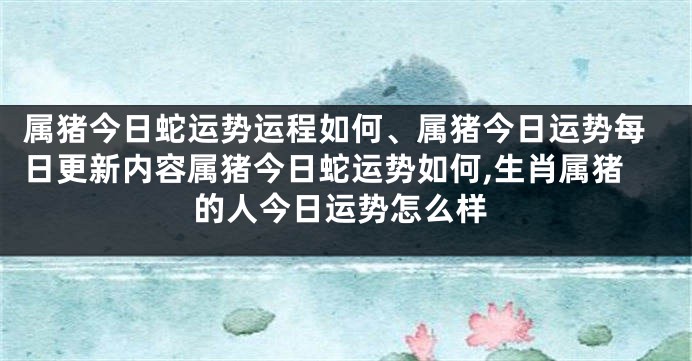 属猪今日蛇运势运程如何、属猪今日运势每日更新内容属猪今日蛇运势如何,生肖属猪的人今日运势怎么样