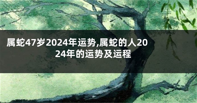 属蛇47岁2024年运势,属蛇的人2024年的运势及运程