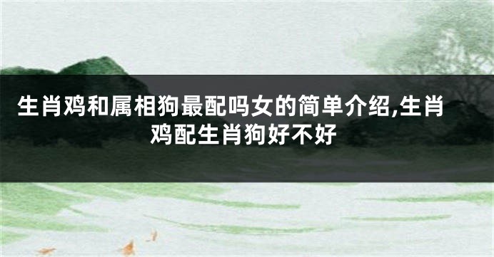 生肖鸡和属相狗最配吗女的简单介绍,生肖鸡配生肖狗好不好
