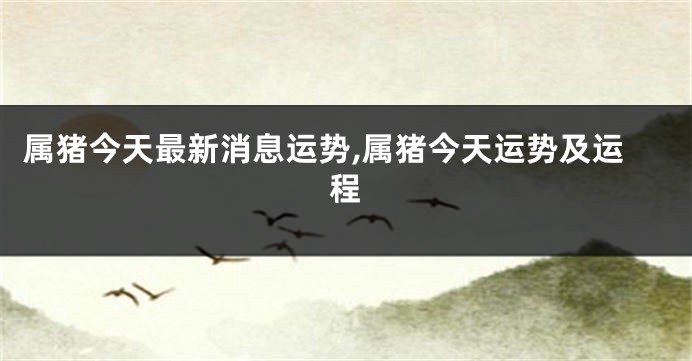 属猪今天最新消息运势,属猪今天运势及运程
