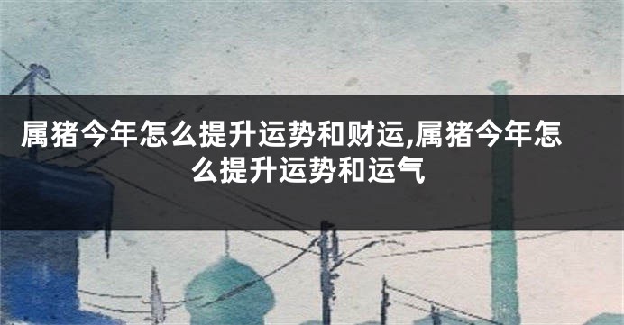 属猪今年怎么提升运势和财运,属猪今年怎么提升运势和运气