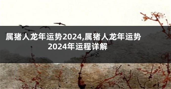 属猪人龙年运势2024,属猪人龙年运势2024年运程详解