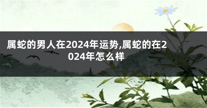 属蛇的男人在2024年运势,属蛇的在2024年怎么样