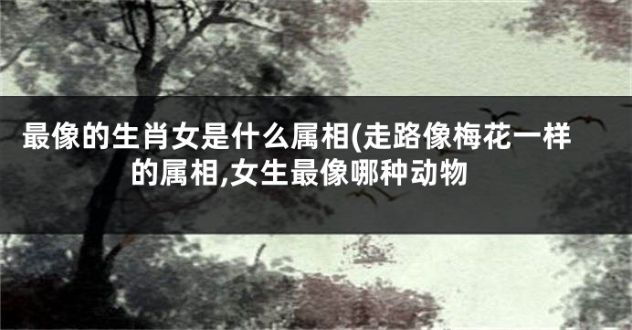 最像的生肖女是什么属相(走路像梅花一样的属相,女生最像哪种动物
