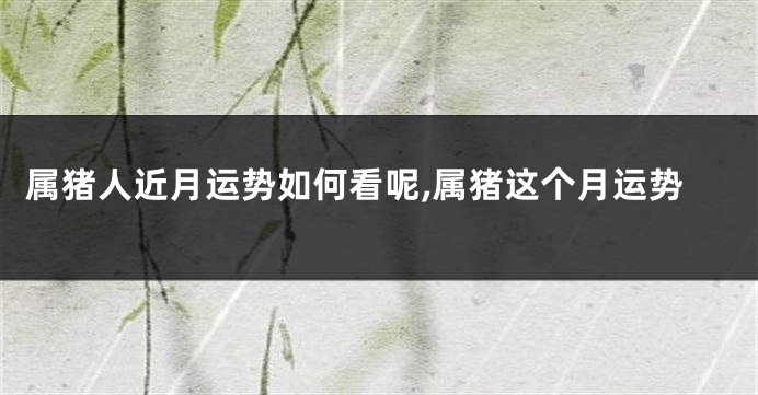 属猪人近月运势如何看呢,属猪这个月运势