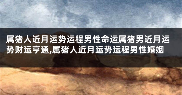 属猪人近月运势运程男性命运属猪男近月运势财运亨通,属猪人近月运势运程男性婚姻