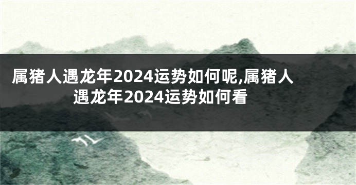 属猪人遇龙年2024运势如何呢,属猪人遇龙年2024运势如何看