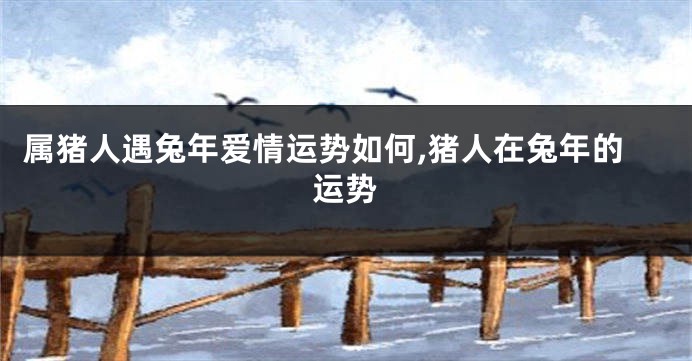 属猪人遇兔年爱情运势如何,猪人在兔年的运势