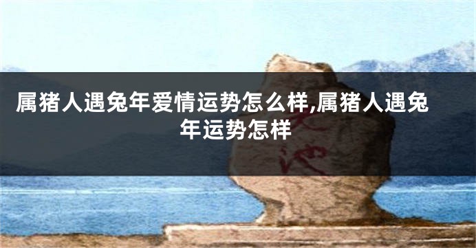 属猪人遇兔年爱情运势怎么样,属猪人遇兔年运势怎样