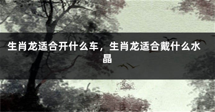 生肖龙适合开什么车，生肖龙适合戴什么水晶