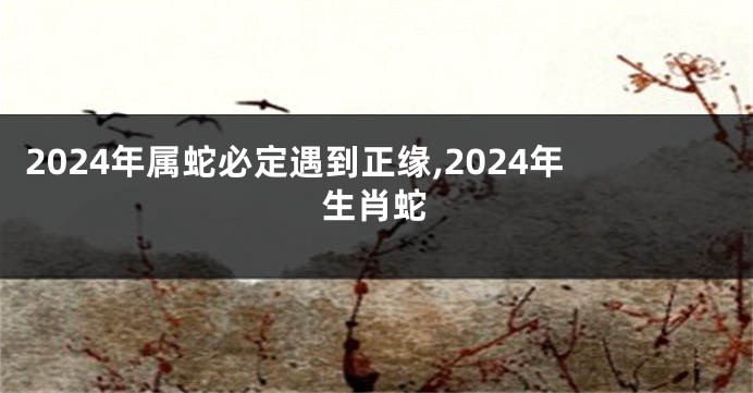 2024年属蛇必定遇到正缘,2024年生肖蛇