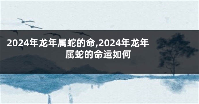 2024年龙年属蛇的命,2024年龙年属蛇的命运如何