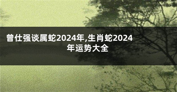 曾仕强谈属蛇2024年,生肖蛇2024年运势大全