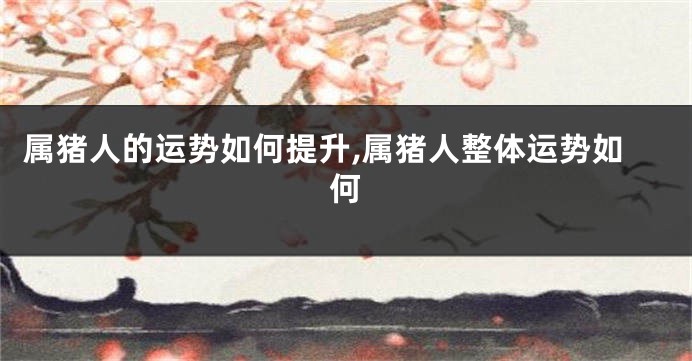 属猪人的运势如何提升,属猪人整体运势如何